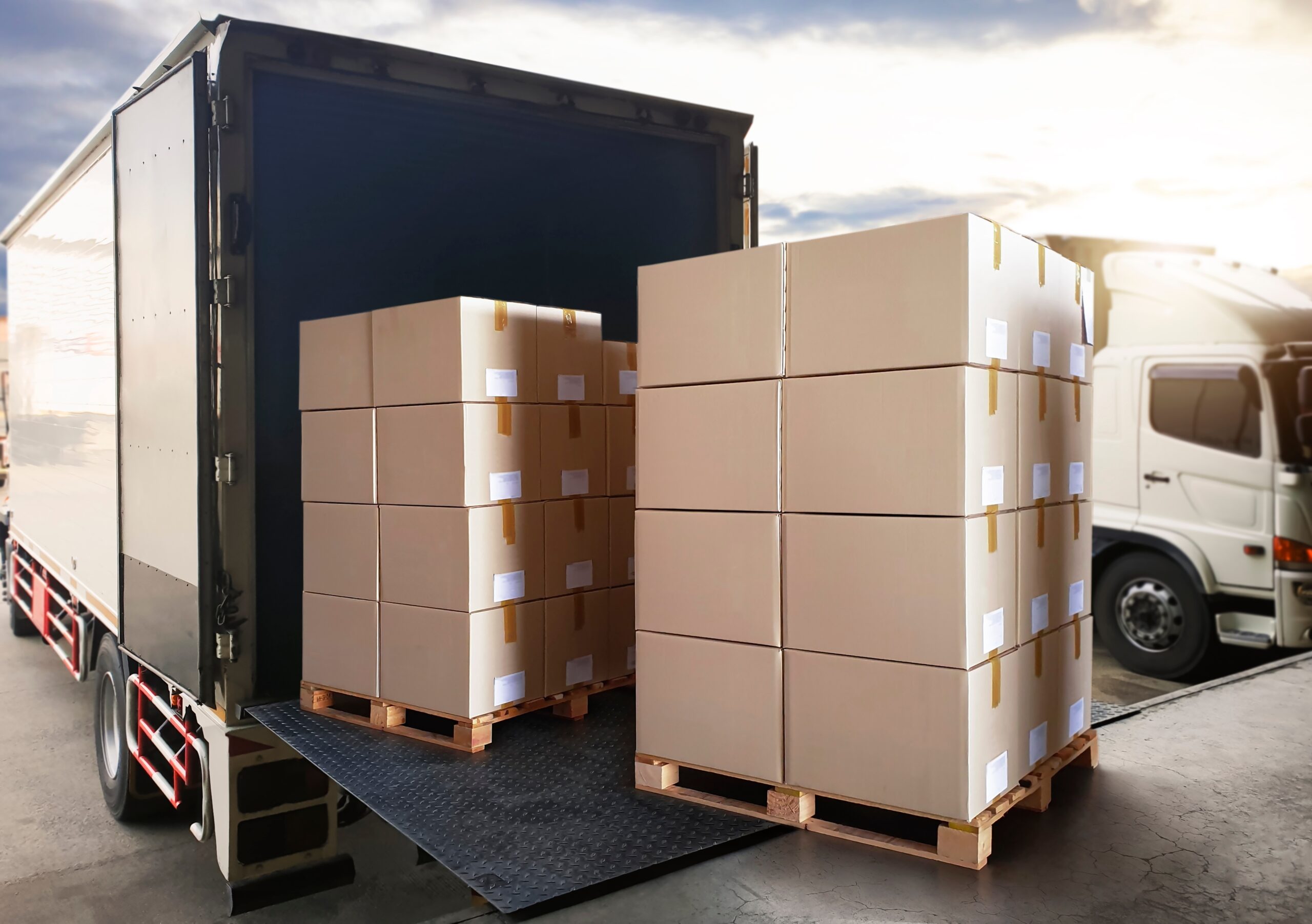 Packaging,Boxes,Stack,On,Pallets,Loading,Into,Cargo,Container.,Shipping